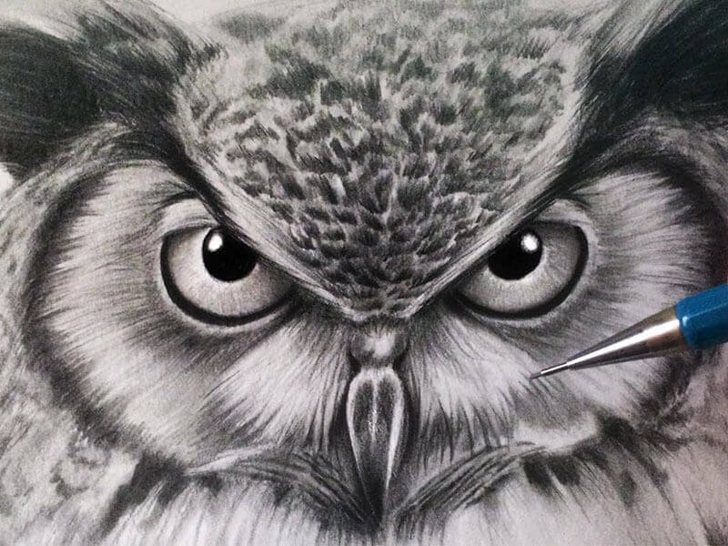 Learn to Draw Realistically: Wildlife - One River School Hartsdale